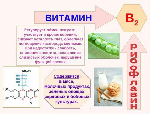 Vitamin B2 (riboflavin) i ampuller. Brugsanvisning, hvad skal den bruges til, pris