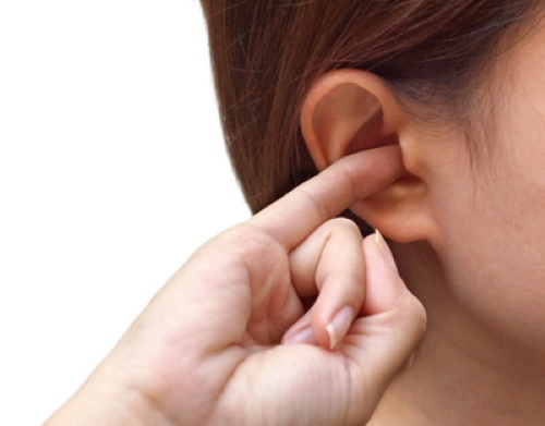 Ušna školjka. Anatomija, struktura srednjeg, vanjskog, unutarnjeg uha, funkcije