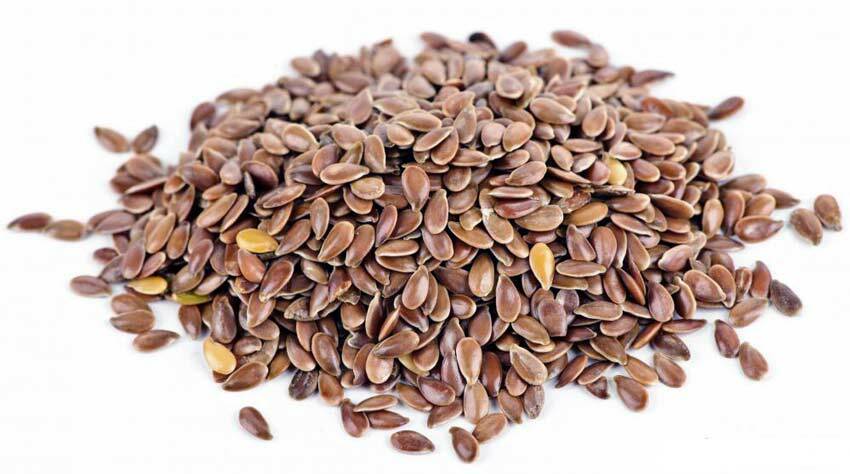 Flax seeds - benefit or harm: composition