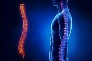 leziunea măduvei spinării