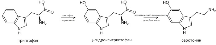 5-hydroksitryptofaani (5-HTP). Mikä se on, käyttöohjeet