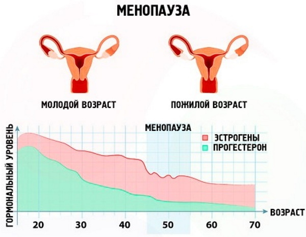 Come inizia la menopausa (menopausa) nelle donne. Sintomi, durata del ciclo