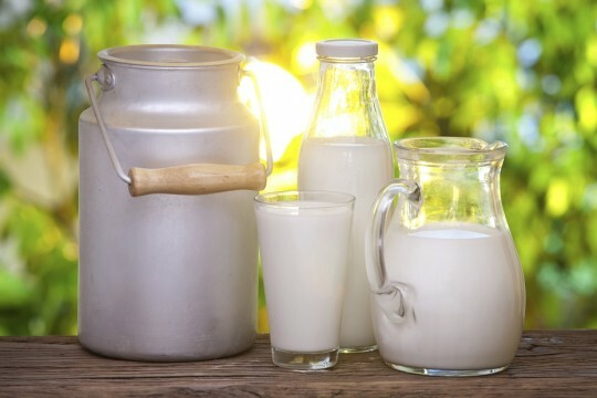 Mælk og diabetes