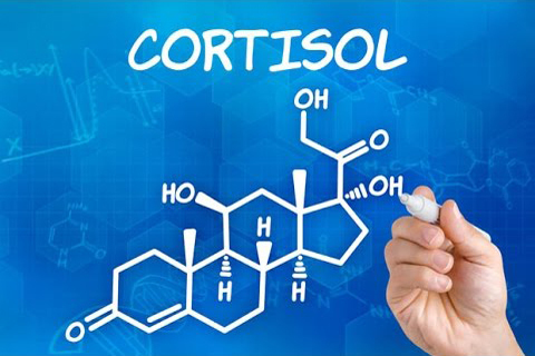 Kortyzol