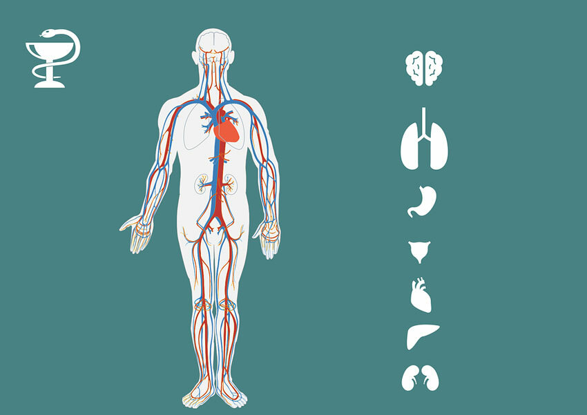 Vaccination against influenza: contraindications and side effects