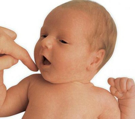 Snabelrefleks hos nyfødte. Hva er dette, et bilde når det forsvinner