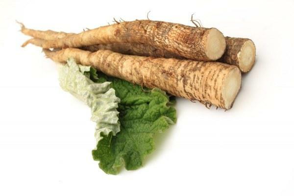 Infusion from the root of burdock to treat neurodermatitis for 10 days