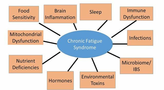 Causes of CFS