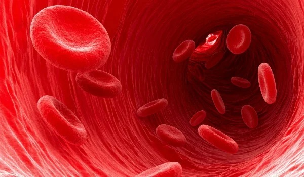 Zgrušavanja krvi, jačanje stijenke krvnih žila. Popis nove generacije