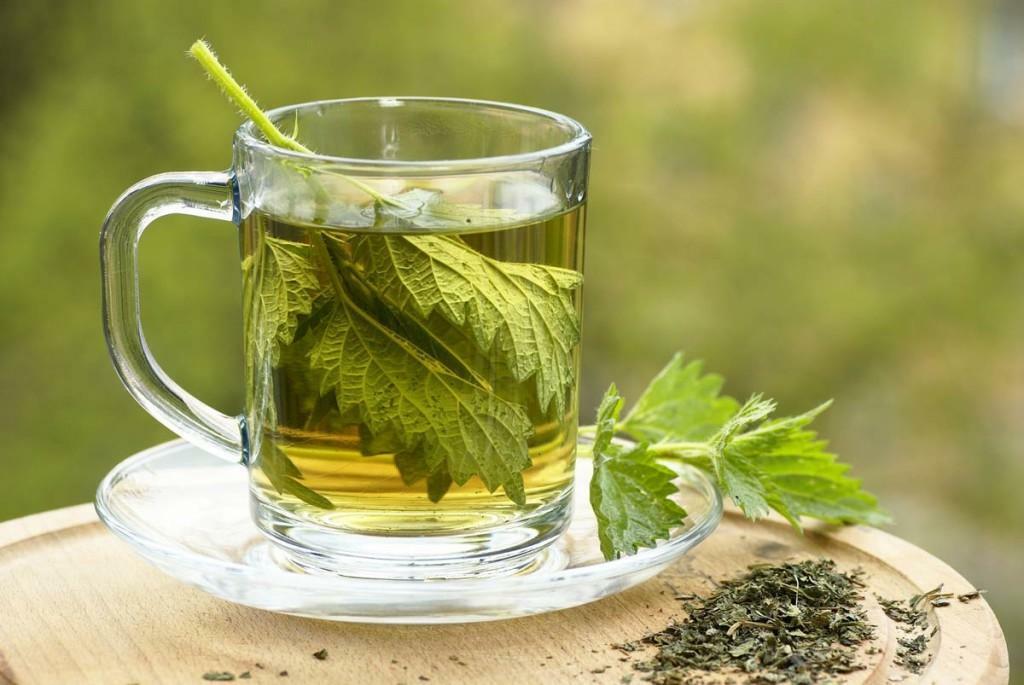 Nettle infusion