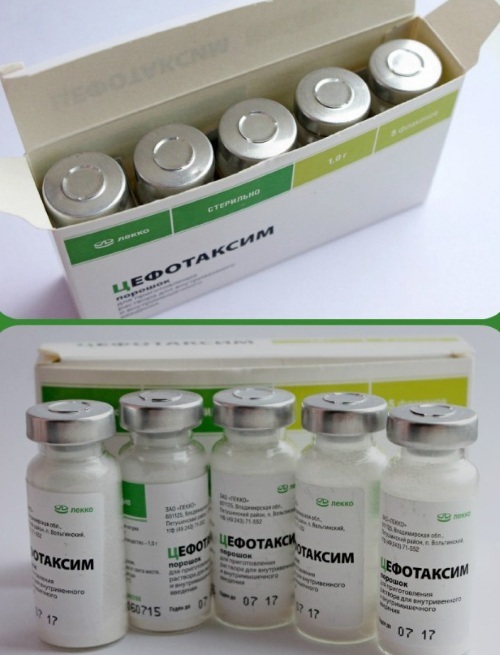 Cefotaxime (Cefotaxime). Instructions for the use of tablets, price, reviews, analogs