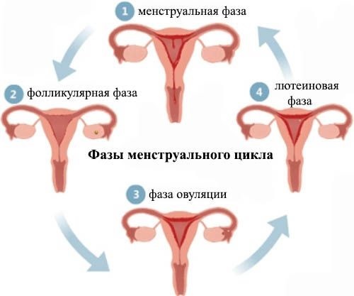 Violation menstruatsionnogo cycle. Reasons for adolescents, women after birth control, childbirth, breastfeeding