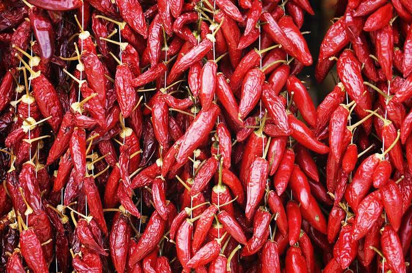 Extract of red pepper