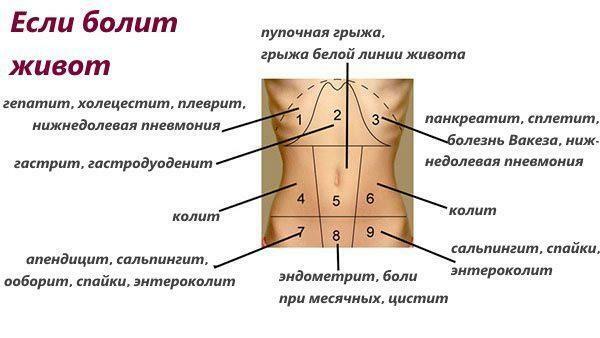 Causes de la douleur abdominale