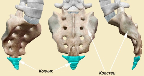 Sacrum. Anatomy, where is a person, structure, photo, how it hurts, treatment
