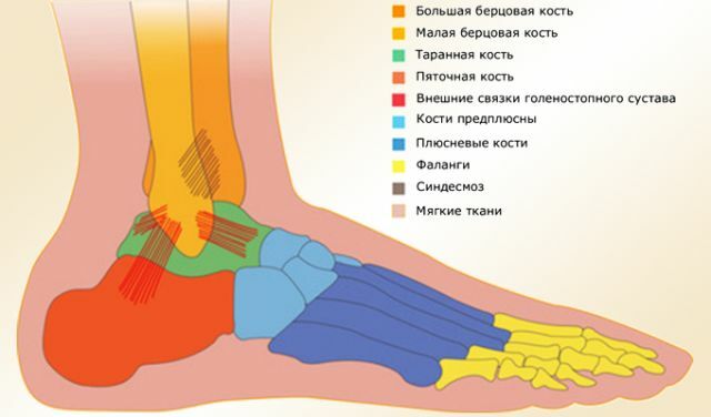 Behandlung und Rehabilitation nach einer Fraktur des Talus des Fußes
