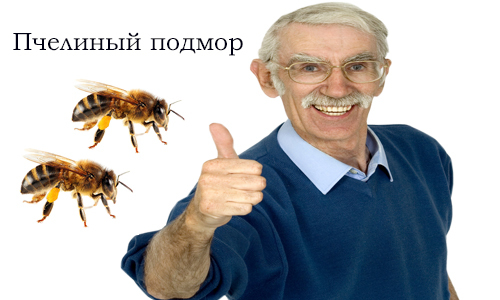 Poder de cura de abelhas mortas