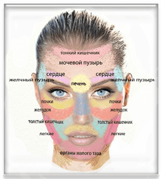 Lokalisatie van acne op het gezicht afhankelijk van de ziekte van organen