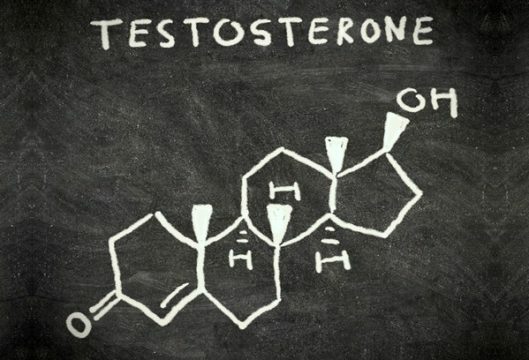 Testosteroon