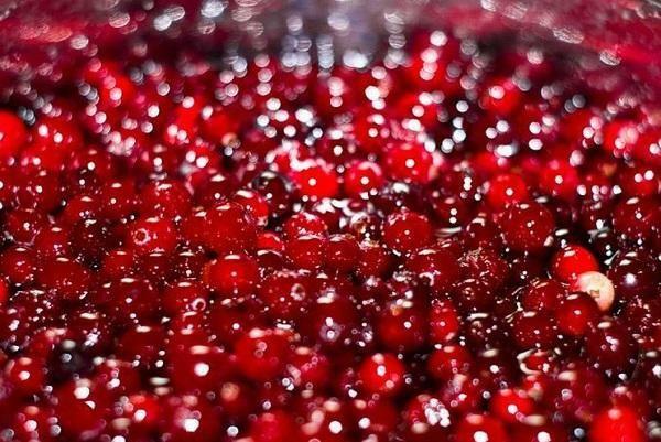 Nasse Cranberries