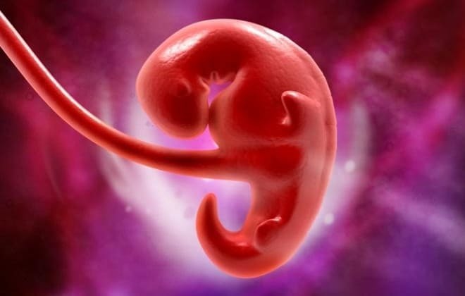 HCG dla ciąży 4 tygodnie: normą, jaki powinien być poziom