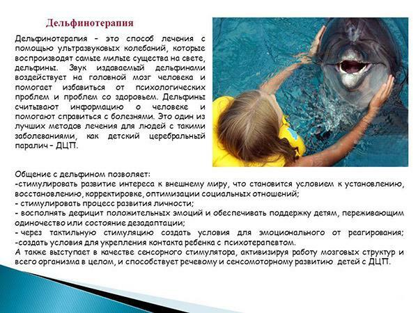 Treatment of cerebral palsy with dolphin therapy