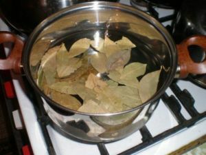 broth from bay leaves