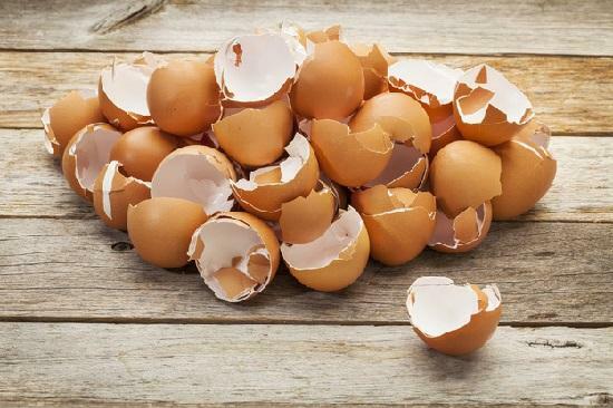Cangkang telur - alat yang efektif dalam pengobatan seborrhea