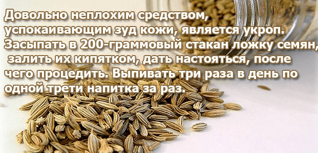 Seeds of dill from skin itch