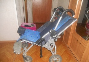 Lisa rolstoel