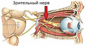 Optický nerv