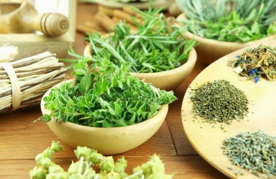 Herbs from pancreatitis and cholecystitis