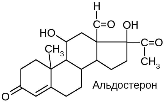 The hormone aldosterone