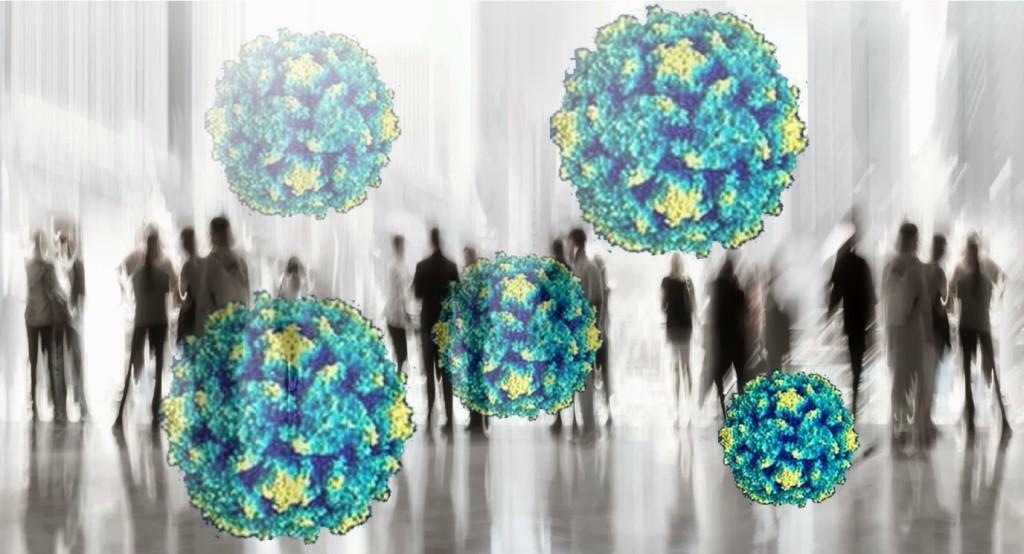 Virusul lui Epstein - Barr( EBV), un tip 4 de herpesvirus uman, este asociat cu tumori maligne de origine epiteliană și limfoidă