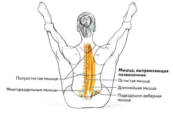 Relajación posisométrica de los músculos