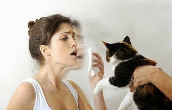 Alergia ao cabelo do gato