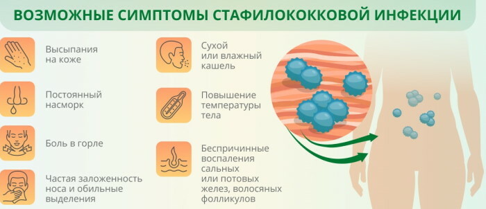Staphylococcus aureus (Staphylococcus aureus): norma tepinėlyje iš ryklės, nuo 10 iki 3-8 laipsnių
