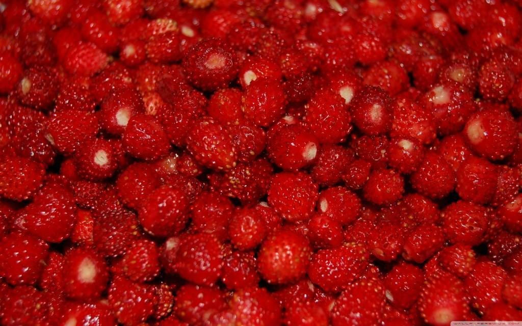 Strawberry Berries