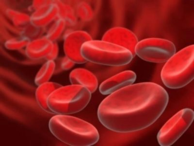 מה עושה הניתוח הביוכימי של דם מהתוכנית הוורידית, מה זה ולמה זה אומר?