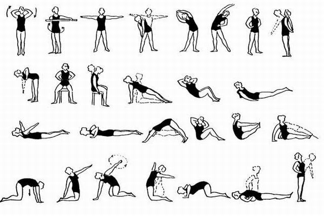 gymnastic exercises
