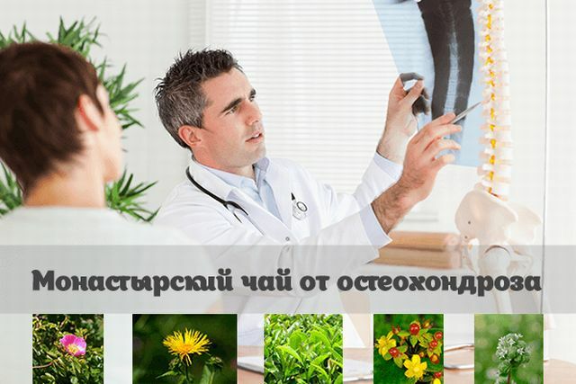 תה מונסטי הוא תרופה יעילה עבור osteochondrosis
