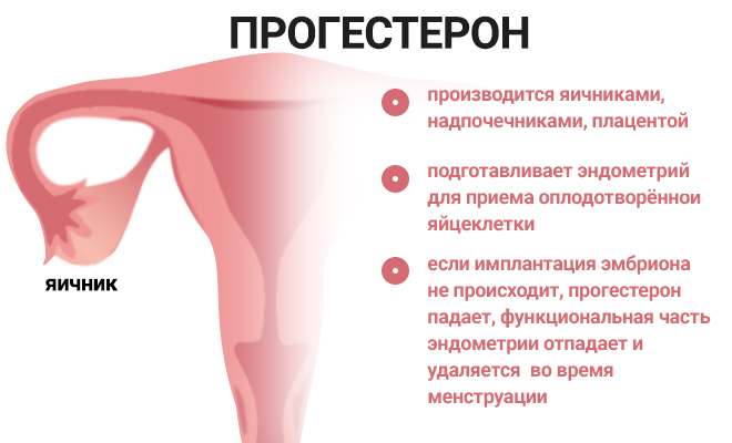 17 OH-progesterón. Norma u žien je 2-3-4-5 dní cyklu, vo folikulárnej fáze, u tehotných žien. Veková tabuľka