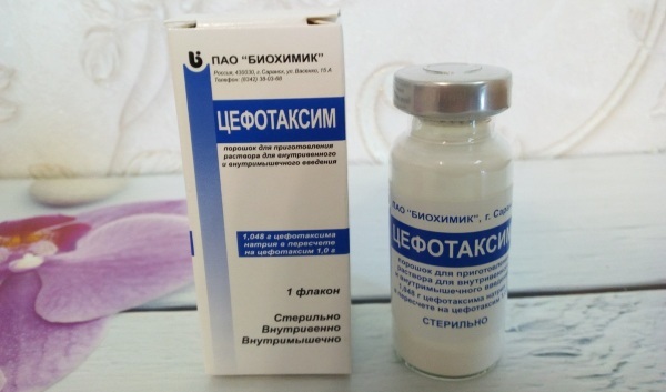 Cefotaxime (Cefotaxime) injections. Price, instructions, how to breed for children, an adult, how much to prick