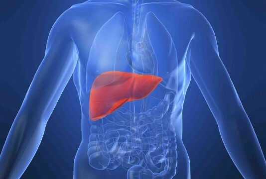 Do que tratar um fígado e um pâncreas?