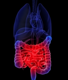 Diagnosis of intestinal dysbiosis