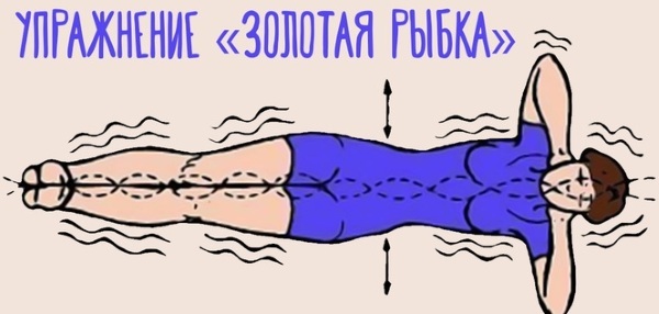 Gymnastiknischer för nybörjare för ryggraden, kapillärer. 6 hälsoregler, praktiska övningar