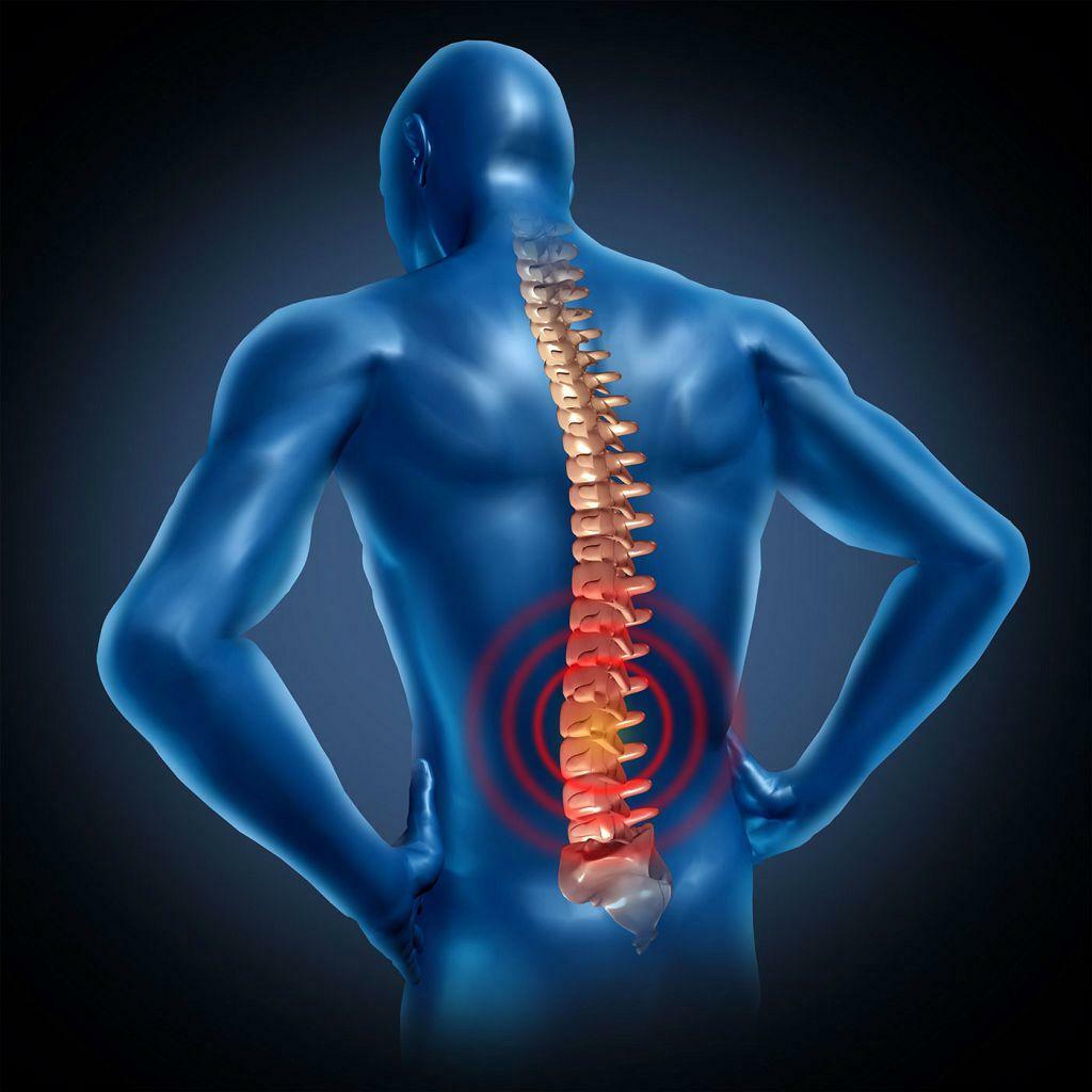 Simptomele herniilor intervertebrale ale coloanei vertebrale lombare