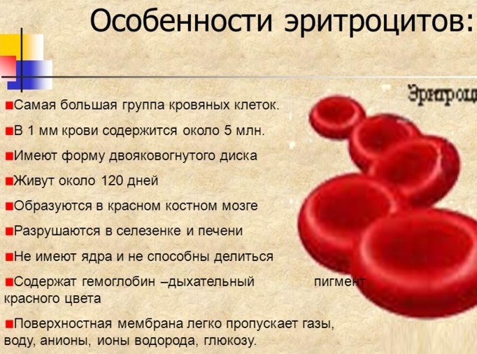 Pełna morfologia krwi u dzieci. Norma wieku, przygotowanie, tabela dekodowania