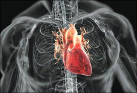 Kraujagyslių ir širdies ligos