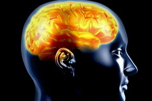 Epileptisk aktivitet i hjernen